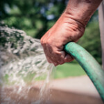 Curso de Jardinista em Jundiaí