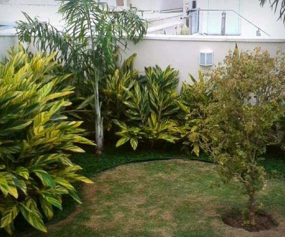 Manutenção de Jardim em Jundiaí