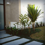 Manutenção de Jardim em Jundiaí