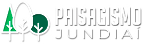 Paisagismo em Jundiaí – Manutenção de Jardim